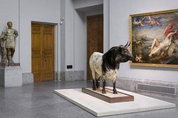 Напротив картины Рубенса "Похищение Европы" можно видеть племенного быка